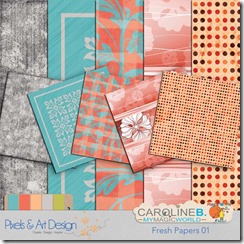 CarolineB_FreshPP01_PA1