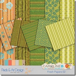 CarolineB_FreshPP02_PA1