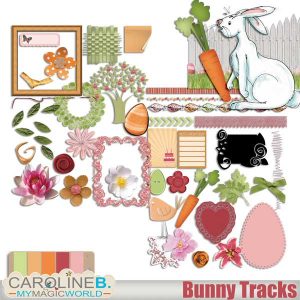 Bunny Tracks Elements