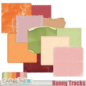 Bunny Tracks Papers Extra