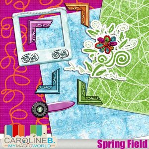 Spring Field Mini Kit