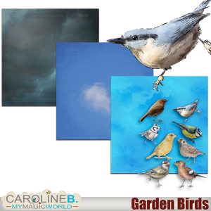 Garden Birds 01 (hand drawn)