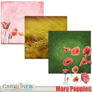 Mary Poppies 01 hand drawn