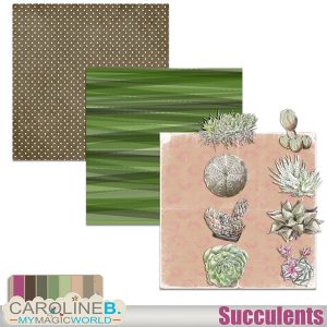 Succulents hand drawn