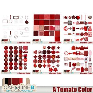 A Tomato Color Bundle 1