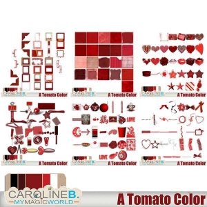 A Tomato Color Bundle 2