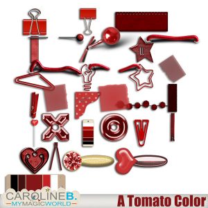 A Tomato Color Series Bindings
