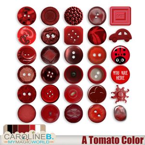 A Tomato Color Series Buttons