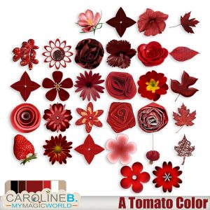 A Tomato Color Series Flowers
