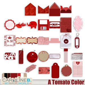 A Tomato Color Series Tags and Journal