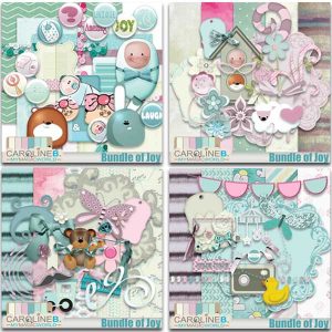Bundle of Joy - Bundle