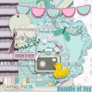 Bundle of Joy - Plus Set