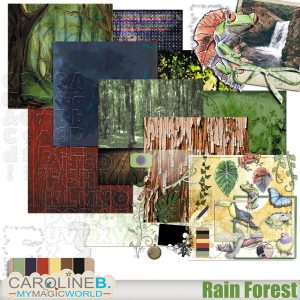 Rain Forest - Collection