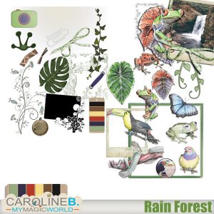 Rain Forest - Embellishments