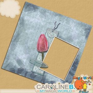 Tenderness 12x12 QP03
