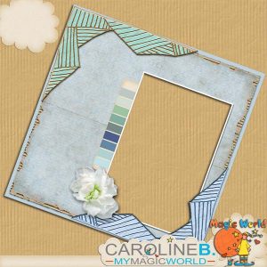 Tenderness 12x12 QP05