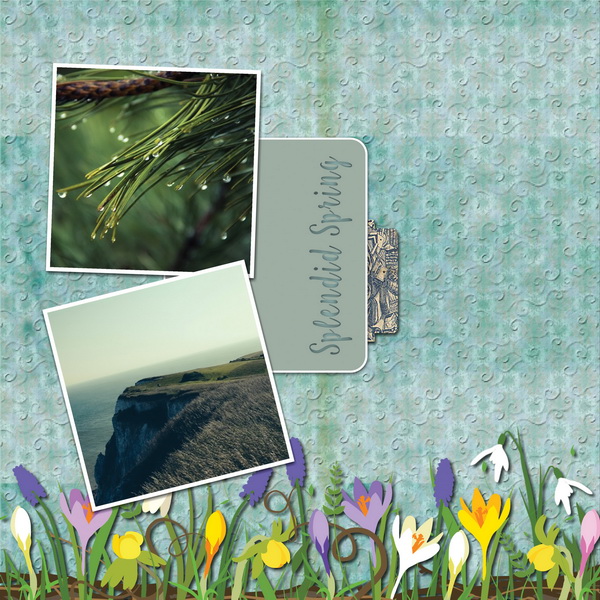 Tenderness Collection - Image 23