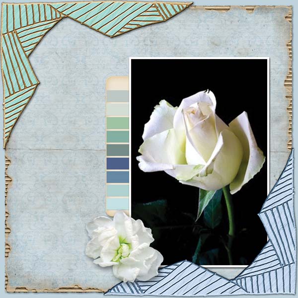 Tenderness Collection - Image 15