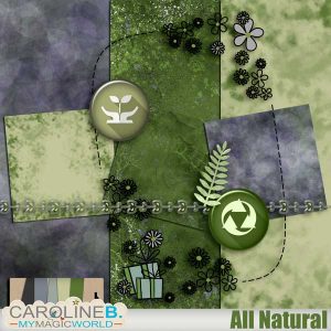 All Natural Mini (3 PP - 6 EL)