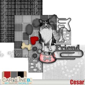 Cesar Mini Kit (4 PP - 11 EL)