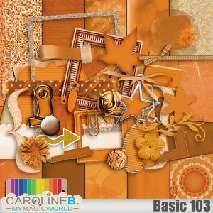 Basic Full Kit - 103 Tangerine