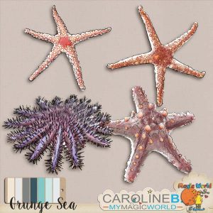 Grunge Sea Sea Stars