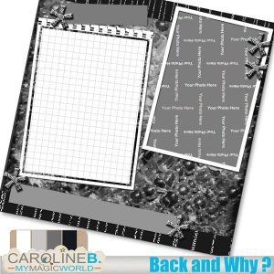 Back & Why ? 12x12 QP02