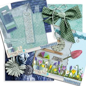 Tenderness Bundle Set