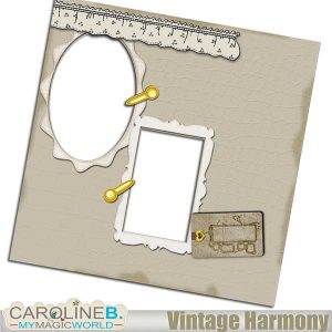Vintage Harmony 12x12 QP01