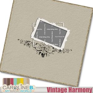 Vintage Harmony 12x12 QP02
