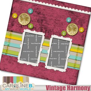 Vintage Harmony 12x12 QP03