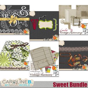 Sweet Bundle (6 minis)