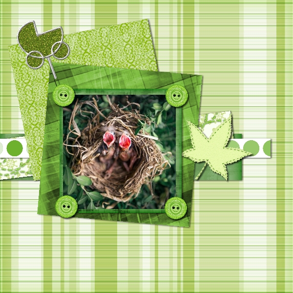 Babies : Baby Gaily Green - Image 5