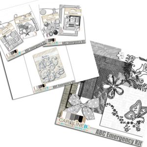 ABC Emergency Kit - Alu Bundle