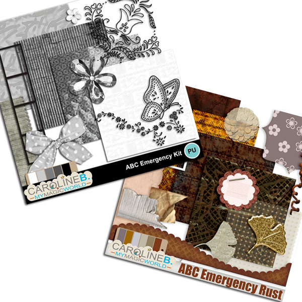 ABC Emergency Extras Bundle