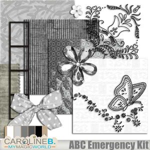 ABC Emergency Kit - Alu Extras