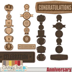 Anniversary Leather and Wood