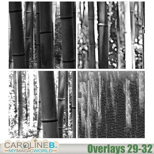 Overlays - Set #29-32