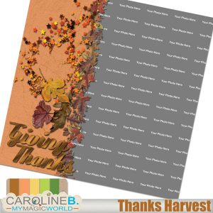 Thanks Harvests 12x12 QP02