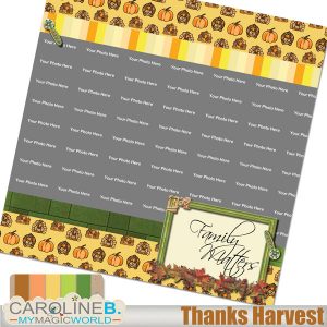 Thanks Harvests 12x12 QP04