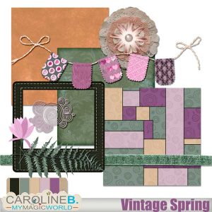 Vintage Spring Mini 1