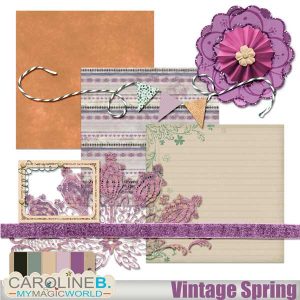 Vintage Spring Mini 2