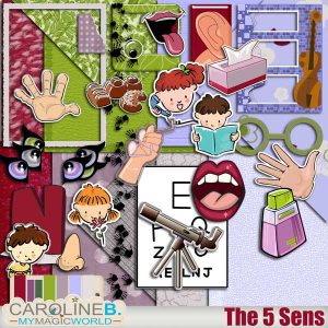 The Five Senses Bundle