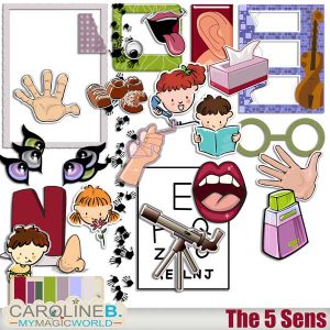The Five Senses Elements