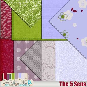 The Five Senses Papers