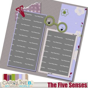 The Five Senses QP02