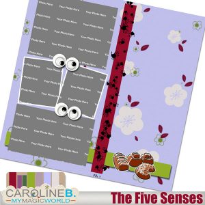 The Five Senses QP03