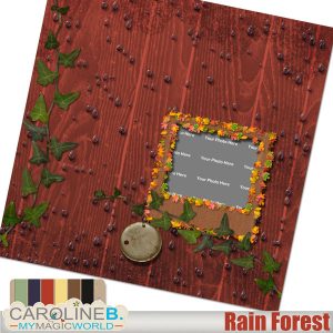 Rain Forest - QuickPage 01