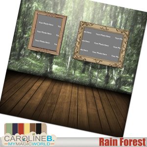 Rain Forest - QuickPage 02