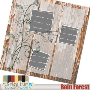 Rain Forest - QuickPage 04
